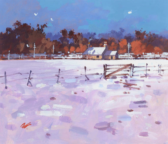 Winter Fields