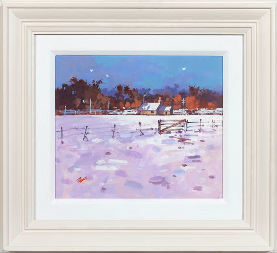 Winter Fields