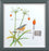 Agapanthus and Nuthatch