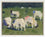 Sheep in the Chess Valley