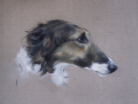Borzoi Study II