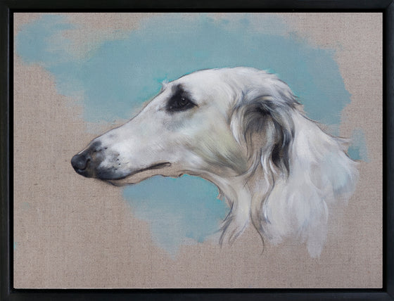 Borzoi Study I