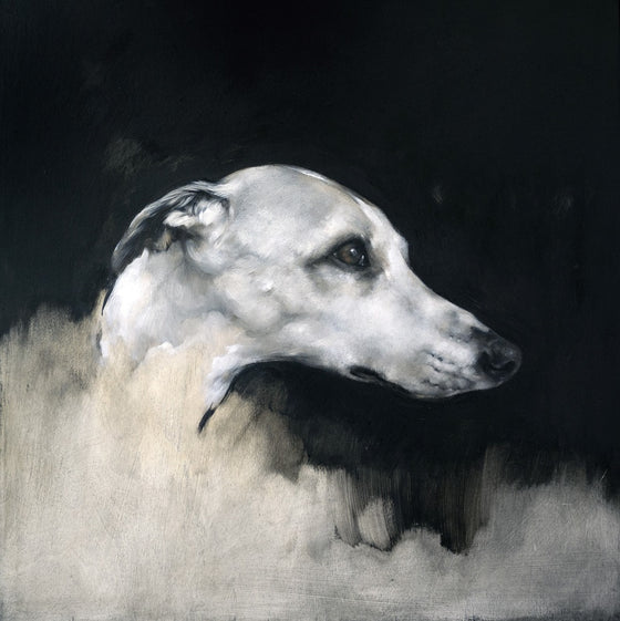 Dog head study