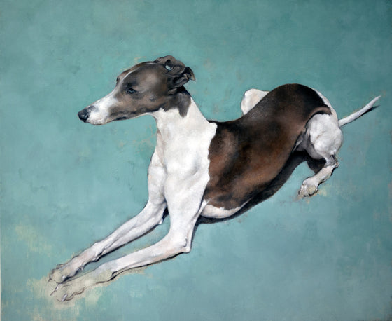 Justin Coburn 'Greyhound'
