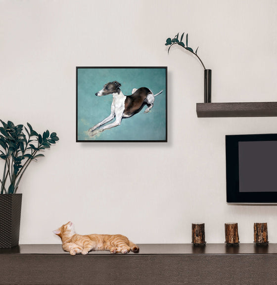 Justin Coburn 'Greyhound'