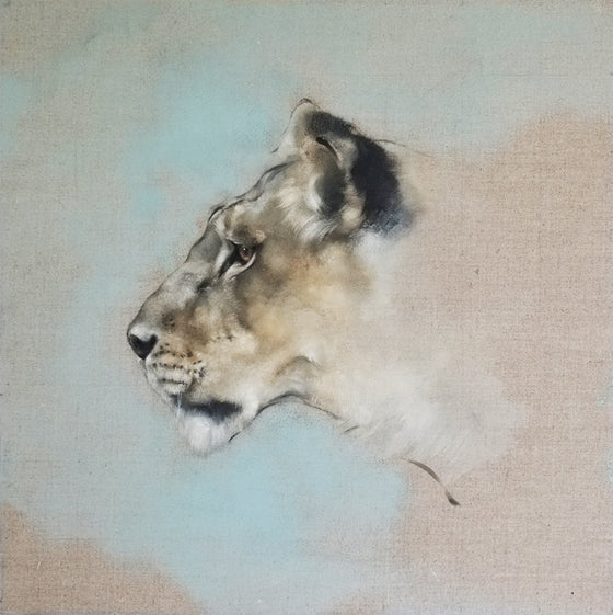 Lioness Head Study