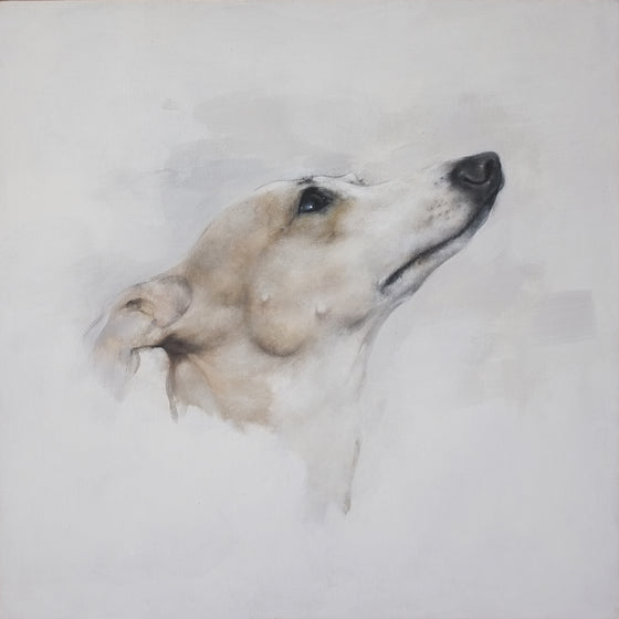 Whippet Head Study I