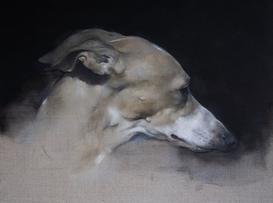 Whippet Study III