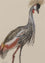 Crane