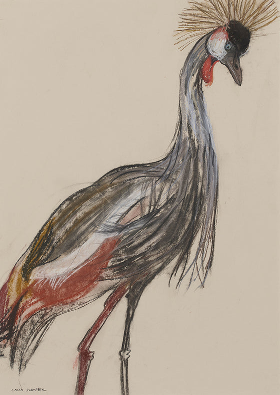 Crane