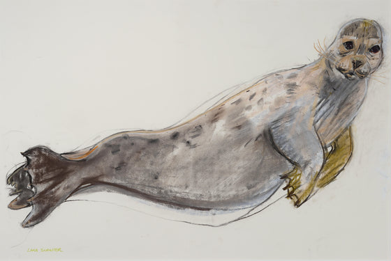 Lara Scouller Scottish Artist 'Common Seal'