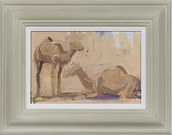 Camels I