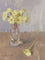 Primroses in a Glass