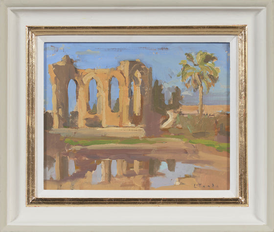 Reflections in a Puddle, North Cyprus