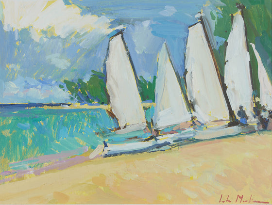 Sailing Boats Drawn up on the Sand