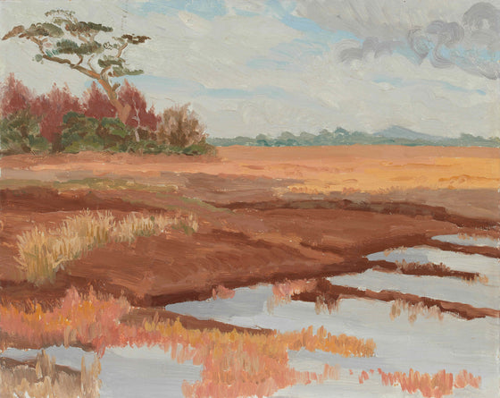 Flooded cut-away Bog and trees, Autumn, near Clonbrock, County Galway