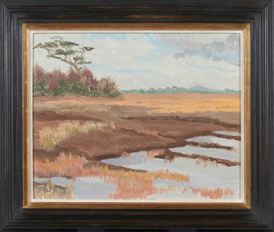 Flooded cut-away Bog and trees, Autumn, near Clonbrock, County Galway