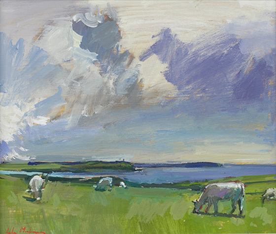 Cows at Pentire II