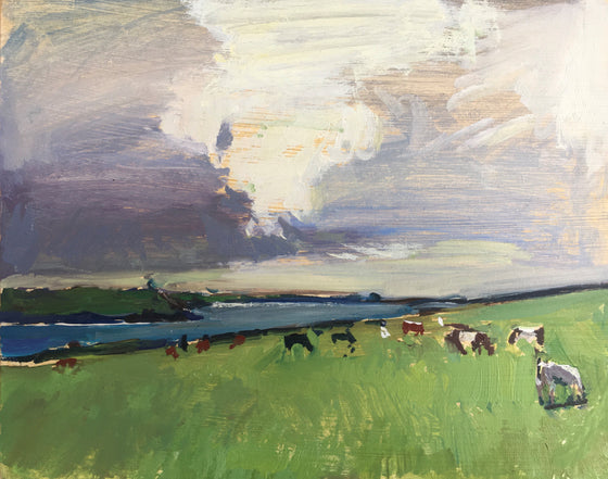 Cows at Pentire III