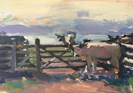 Cows at Pentire IV