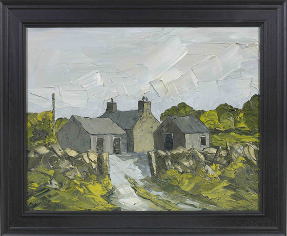 Evening Light, Anglesey