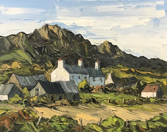 Farmhouse below Llyn Llidi