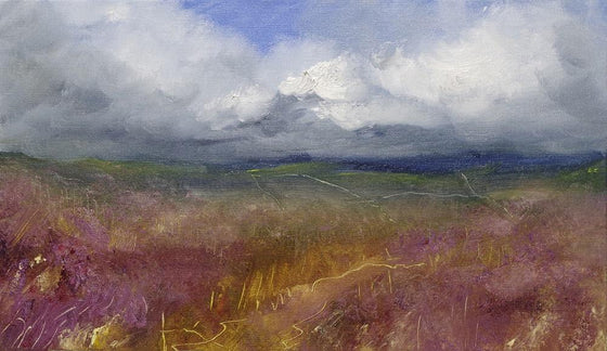 The warm September sun lit up the heathery moor (High Moor, North Yorkshire)