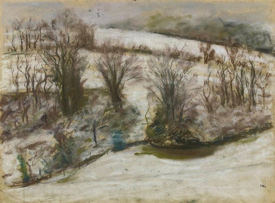 Snow in the Garden at Treyford