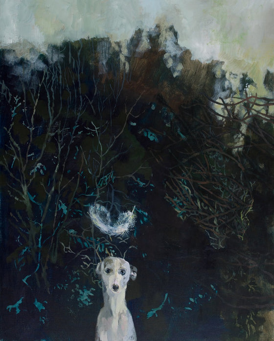 Whippet and Feather
