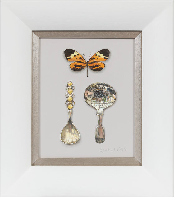 Butterfly with Small Spoons