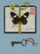 Tied Letter with Butterfly and Key