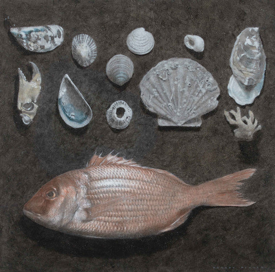 Beach Finds and Couch's Sea Bream