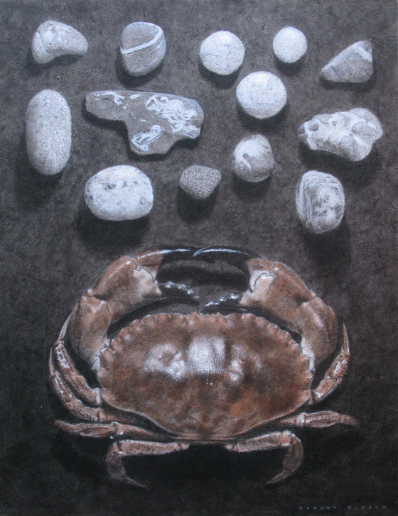 Crab and Beach Pebbles