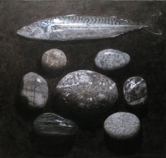 Mackerel and Penzance Pebbles