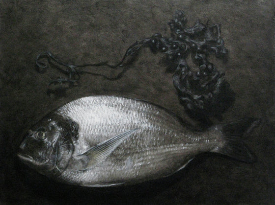 Sea Bream with Seaweed
