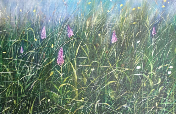 Common Spotted Orchids
