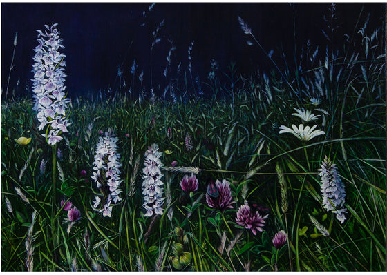 Meadow Series III–Barbara’s Field (Common Spotted Orchids) - Sarah Jane Bellwood