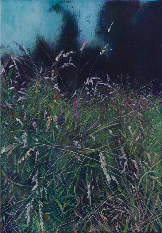 Meadow Series I–Mark’s Meadow - Sarah Jane Bellwood
