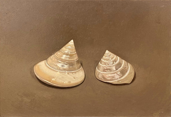 Two Cone-Shaped Shells