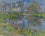 Pond Reflections
