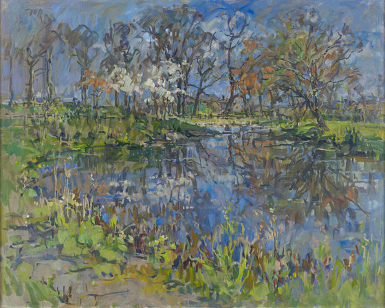 Pond Reflections