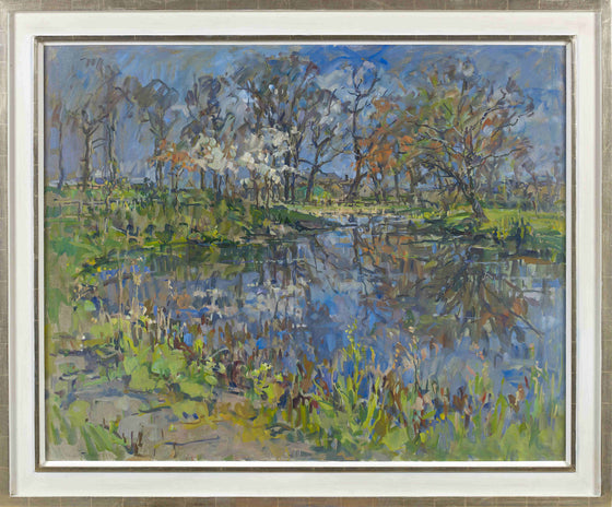 Pond Reflections