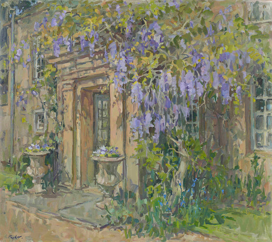 Wisteria