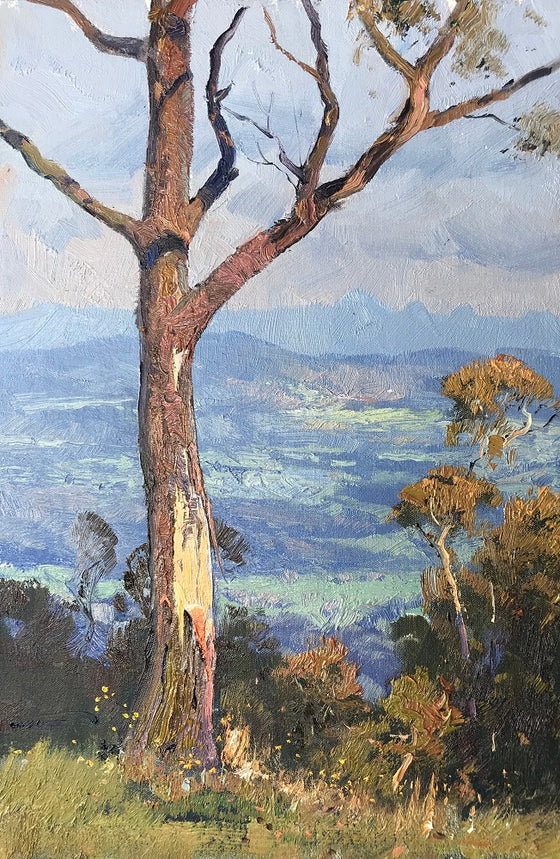 Atmospheric Afternoon from Mount Tamborine