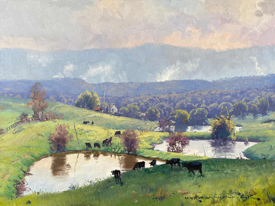 Chain of Ponds, Comleroy