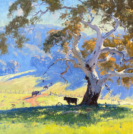 Under the Blackheath Bluffs, Little Hartley
